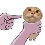 暮流的头像-5era冒险者公会论坛