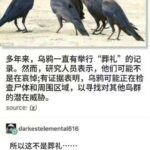 在乌鸦的衣冠冢旁-5era冒险者公会论坛