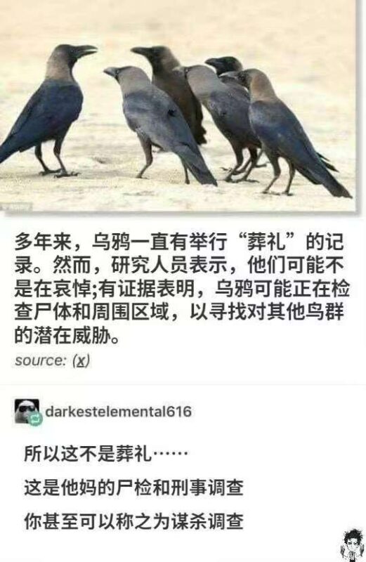 在乌鸦的衣冠冢旁-5era冒险者公会论坛