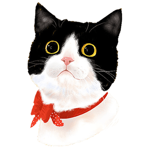 站长的头像-5era冒险者公会论坛